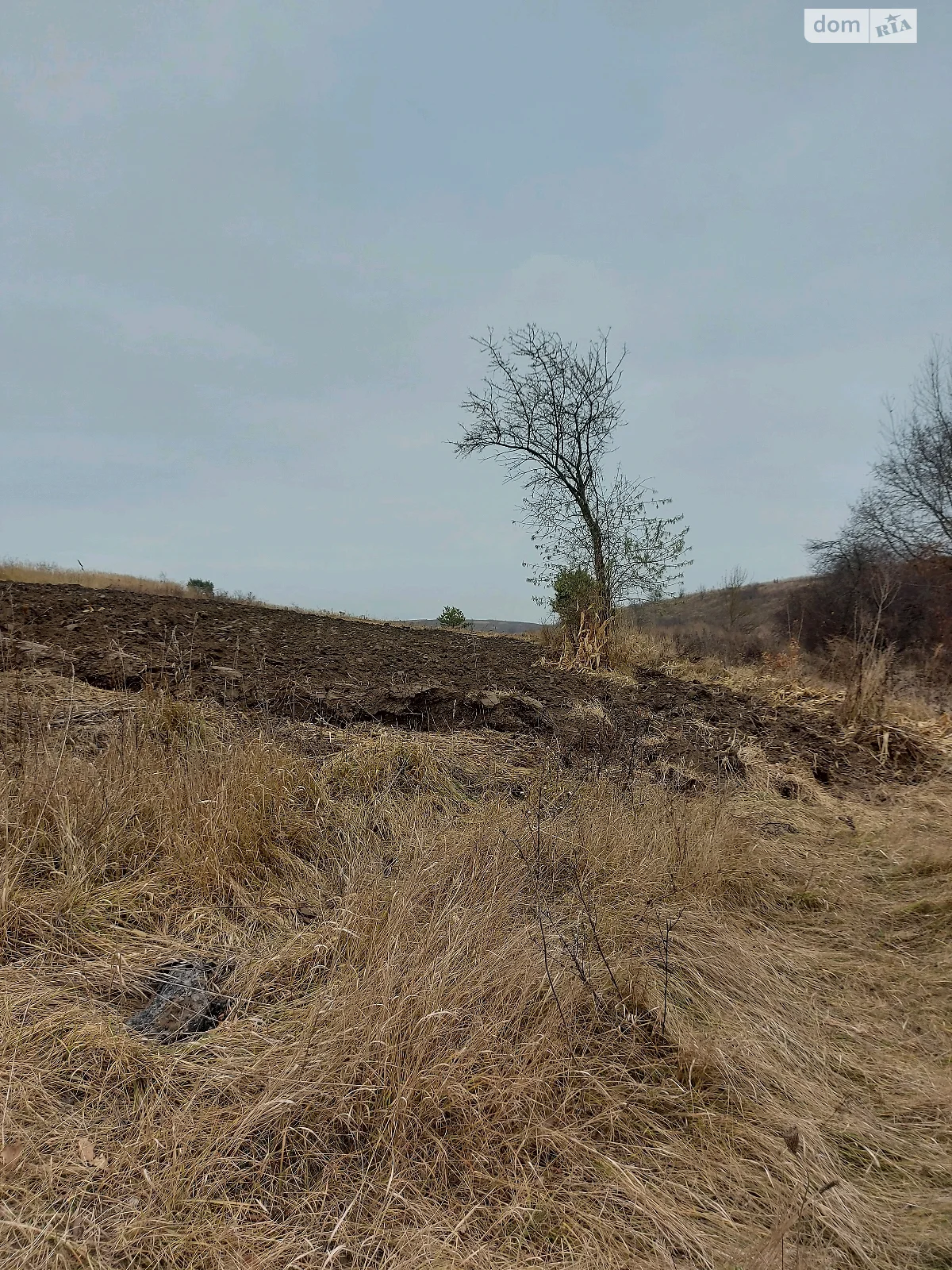 Продається земельна ділянка 9 соток у Тернопільській області - фото 3