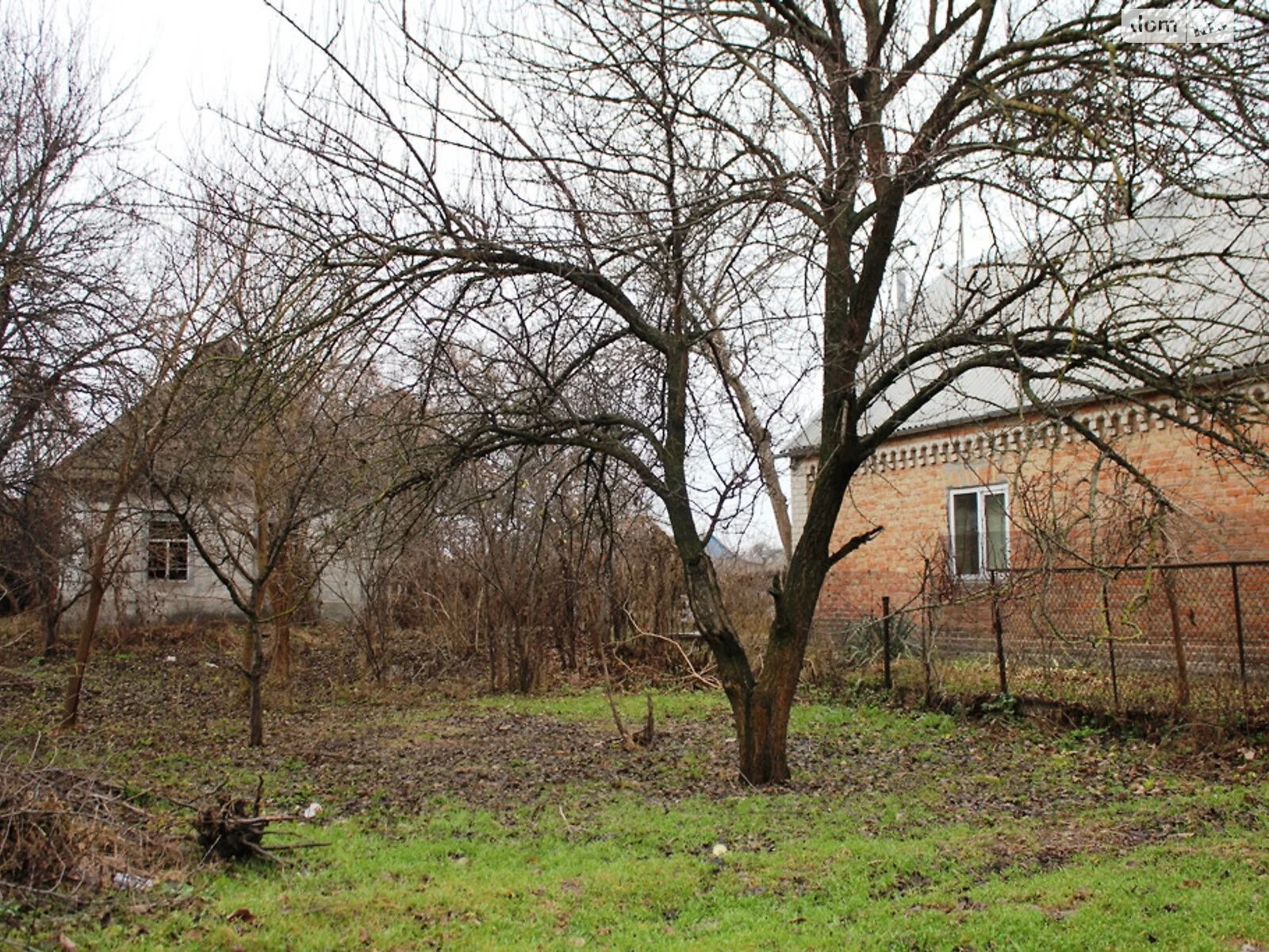 Продается земельный участок 15 соток в Запорожской области - фото 2