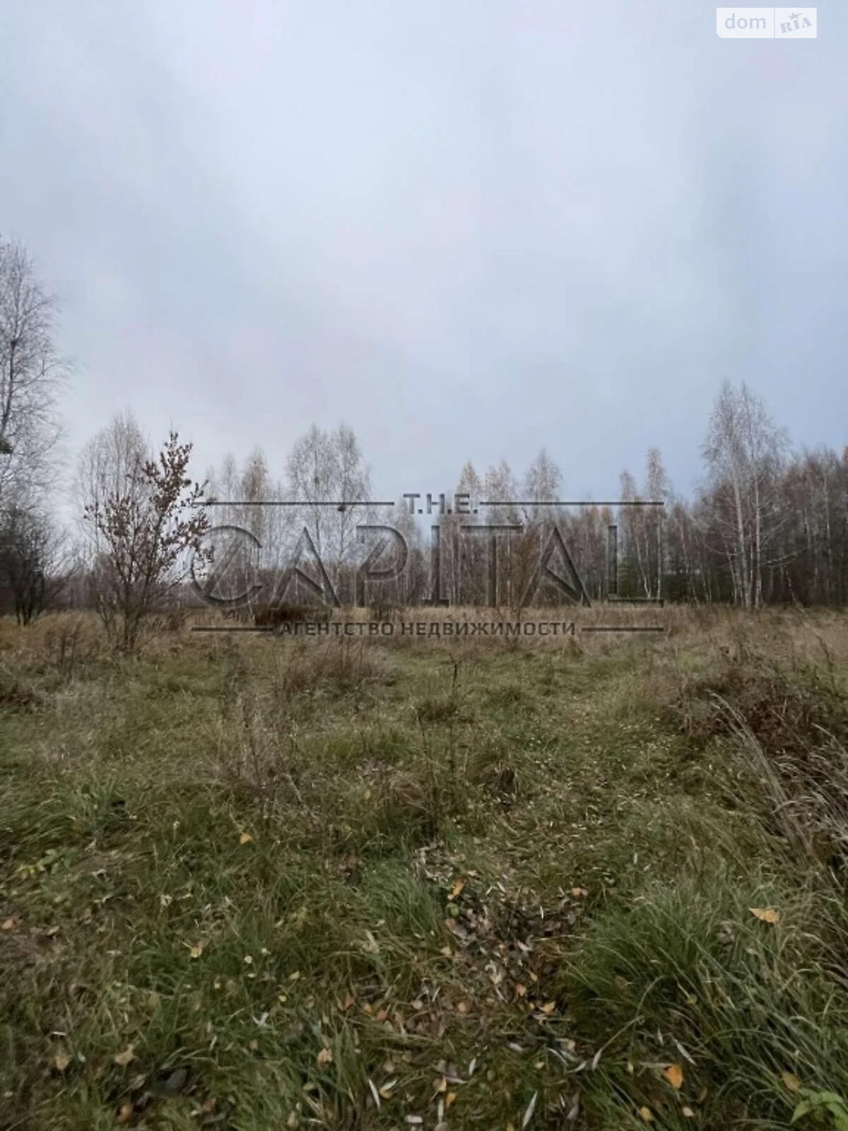 Продается земельный участок 297 соток в Киевской области - фото 2
