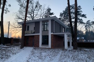 Продаж будинку, Київська, Буча, р‑н. Буча, Ольжича, буд. 1