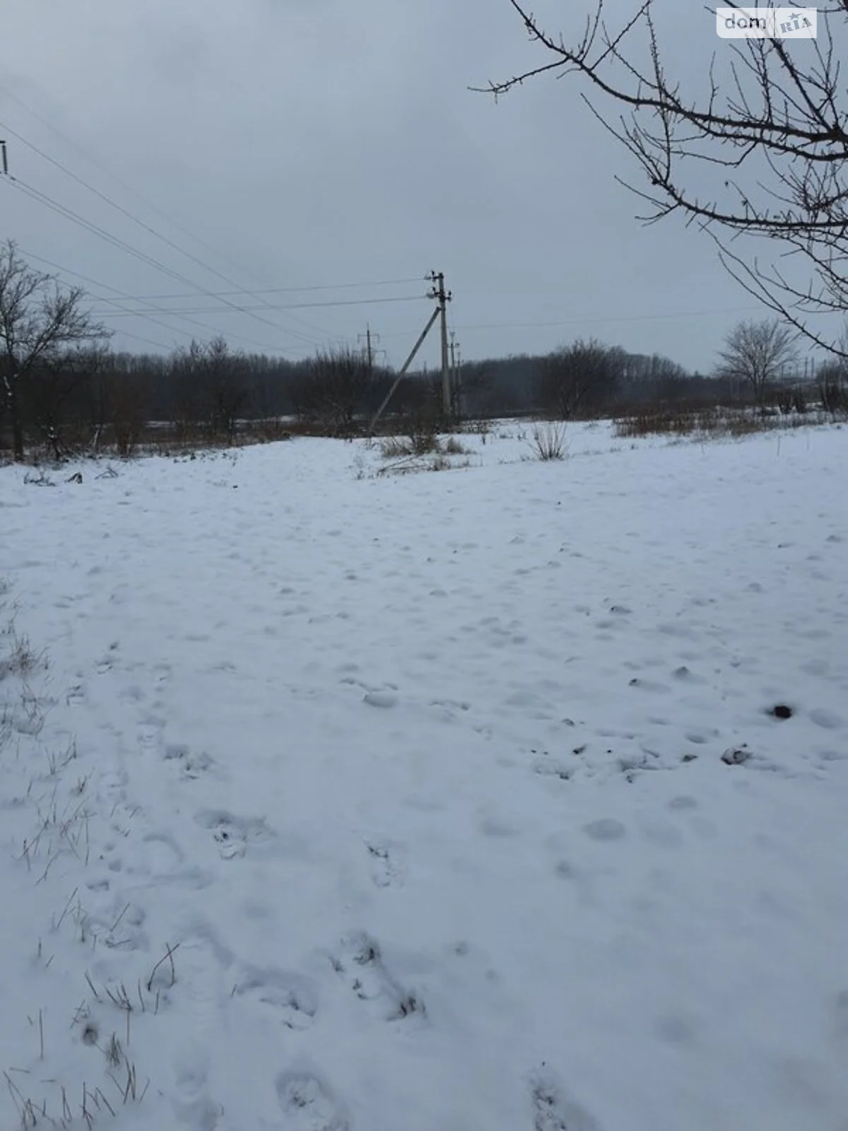 Продается земельный участок 8 соток в Кировоградской области - фото 3