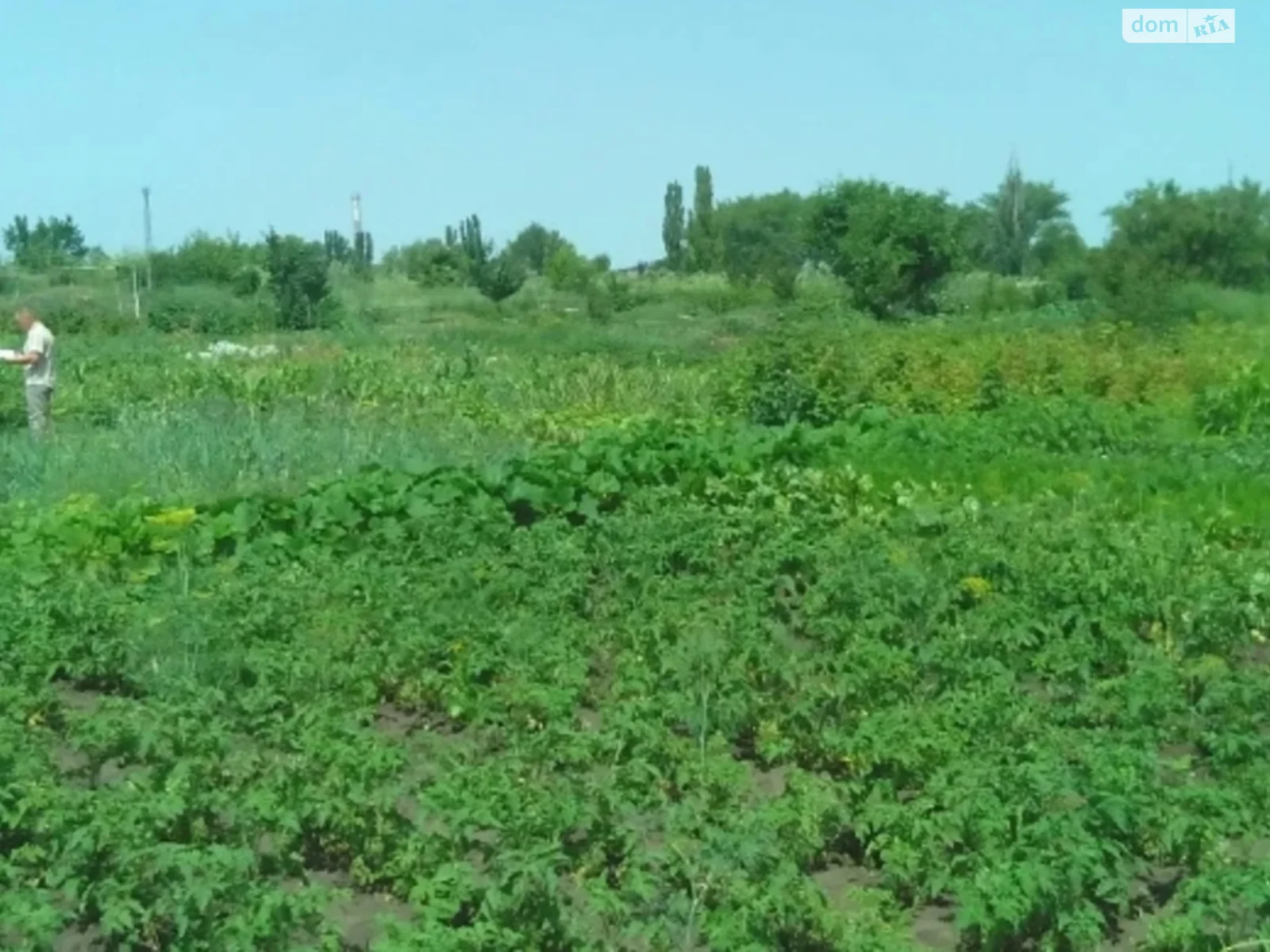 Продається земельна ділянка 7 соток у Кіровоградській області - фото 2