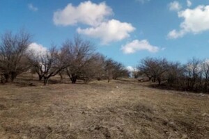 Продаж ділянки під житлову забудову, Кіровоградська, Нове, Калинова вулиця
