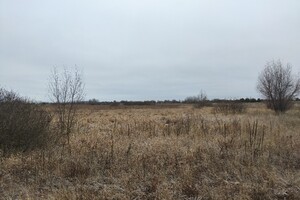 Продажа участка под жилую застройку, Киевская, Макаров, c. Мотижин