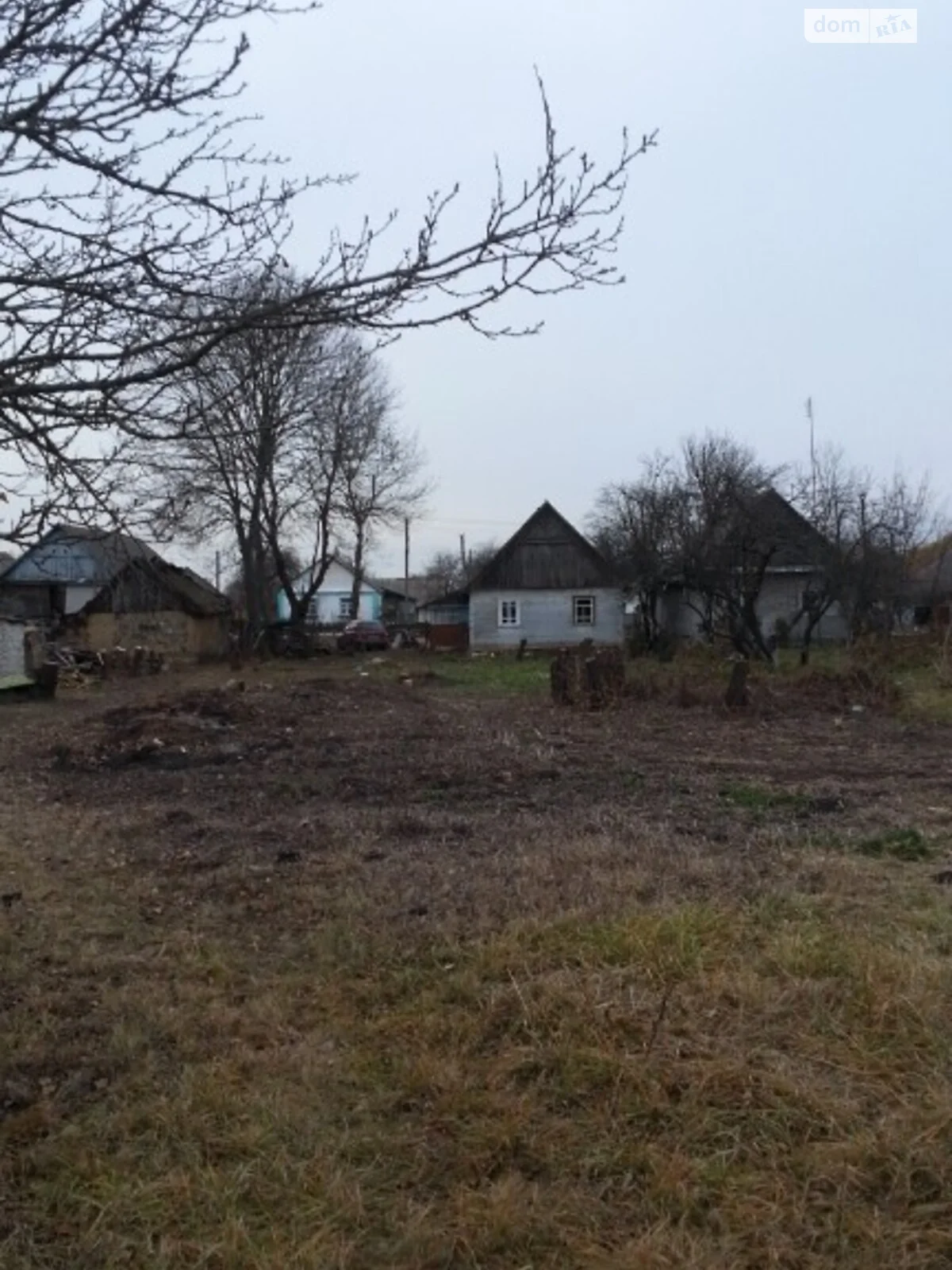 Продається земельна ділянка 40 соток у Житомирській області - фото 2