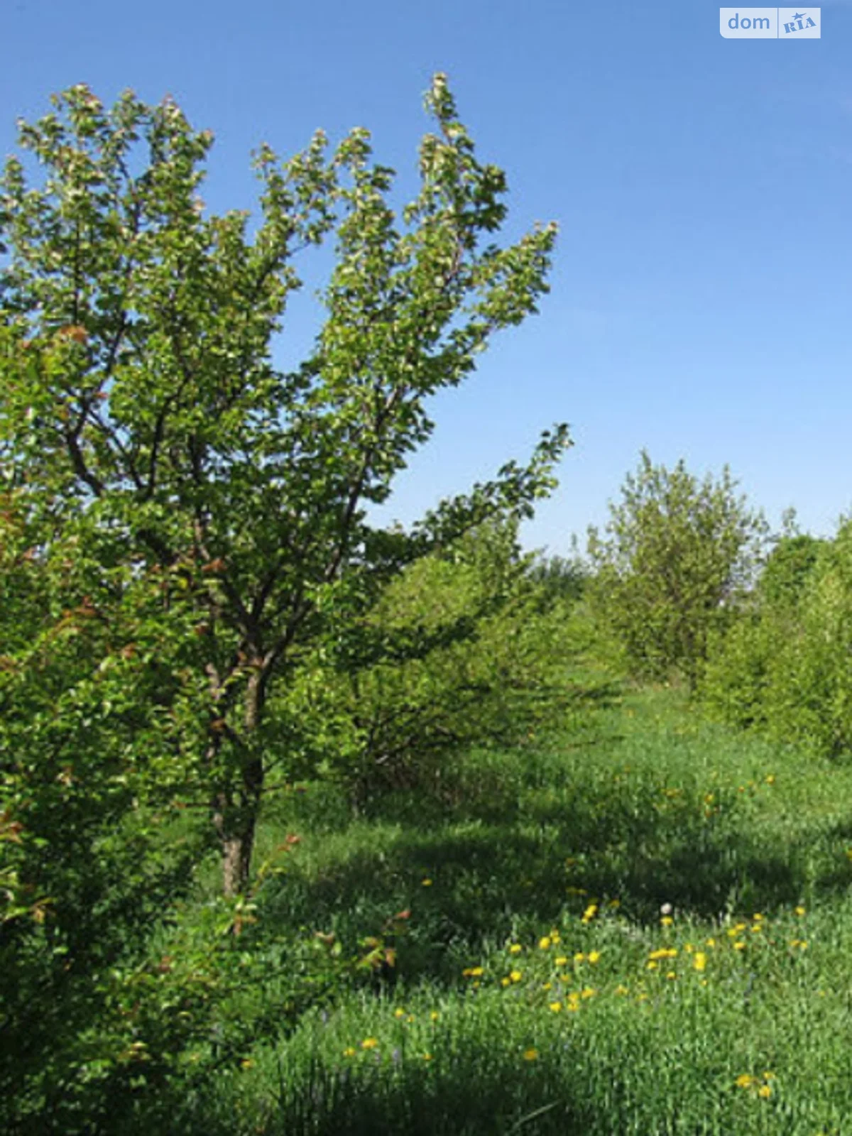 Продається земельна ділянка 2.14 соток у Вінницькій області - фото 3