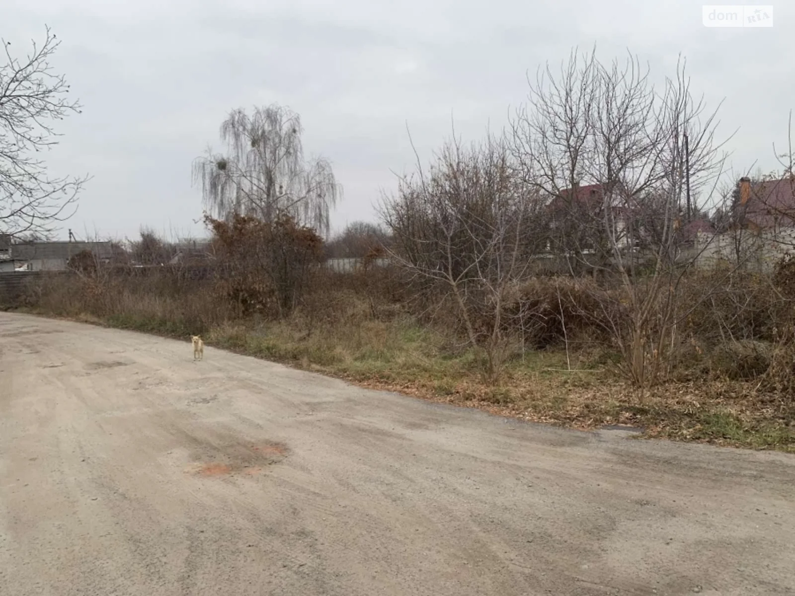 Продається земельна ділянка 12 соток у Житомирській області - фото 2