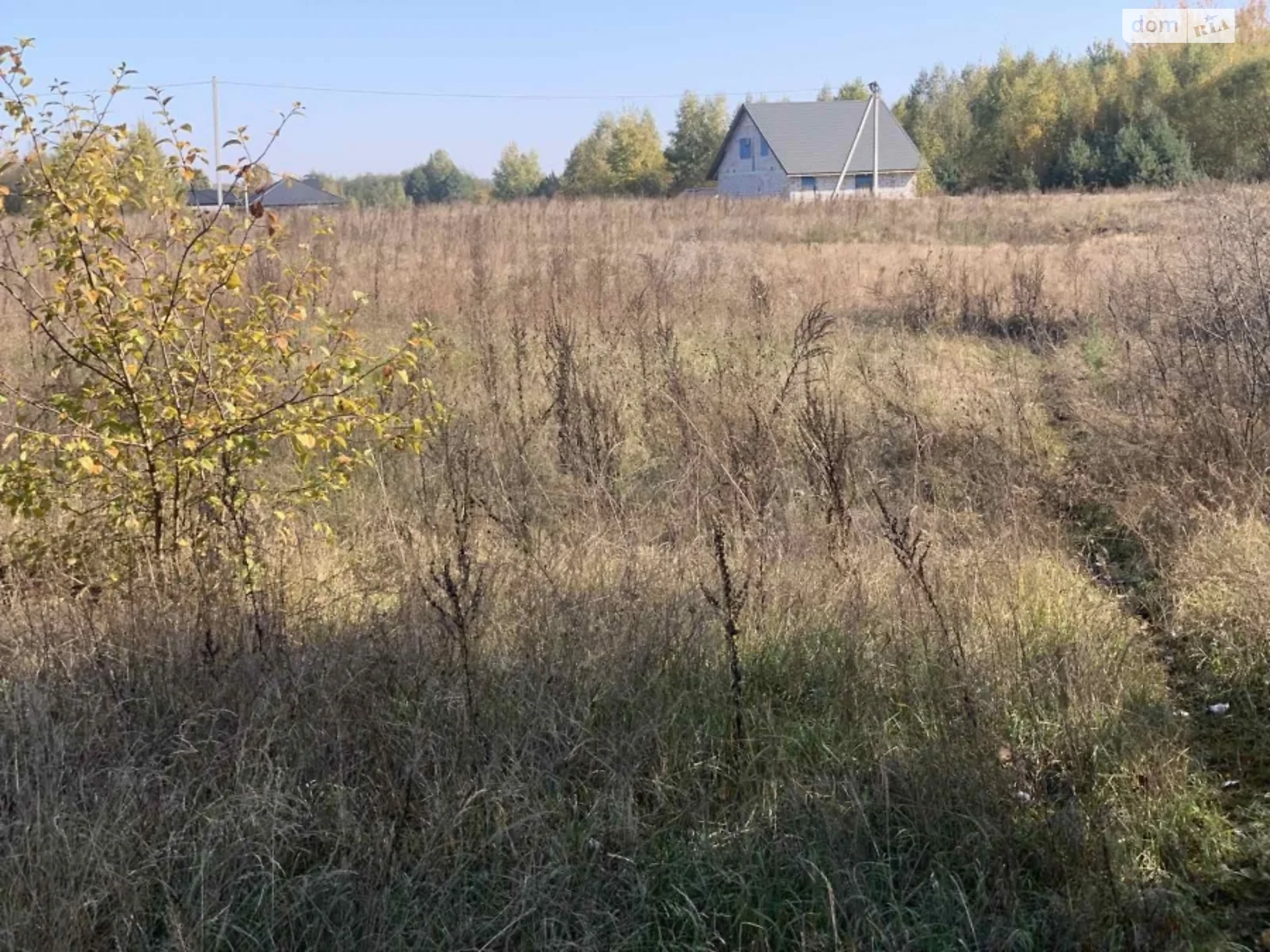 Продается земельный участок 80 соток в Житомирской области - фото 2