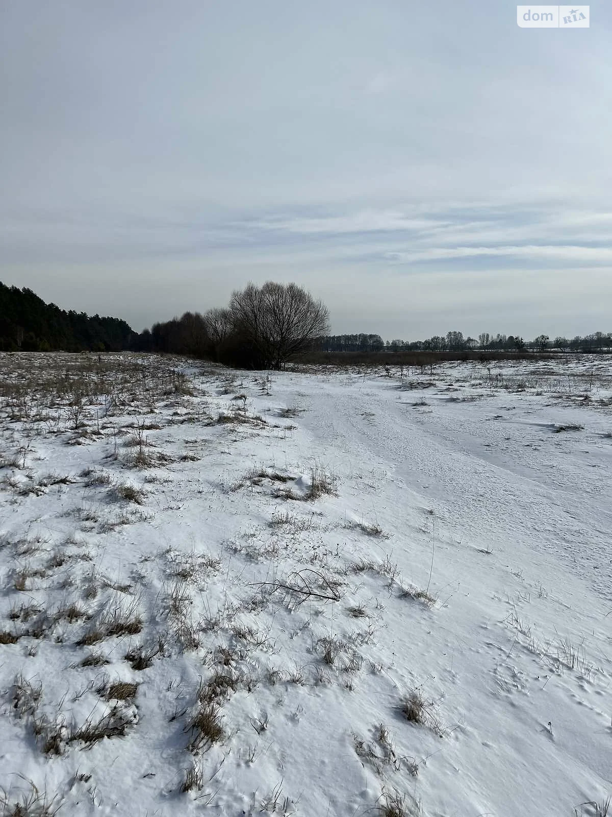 Продается земельный участок 800 соток в Винницкой области - фото 3