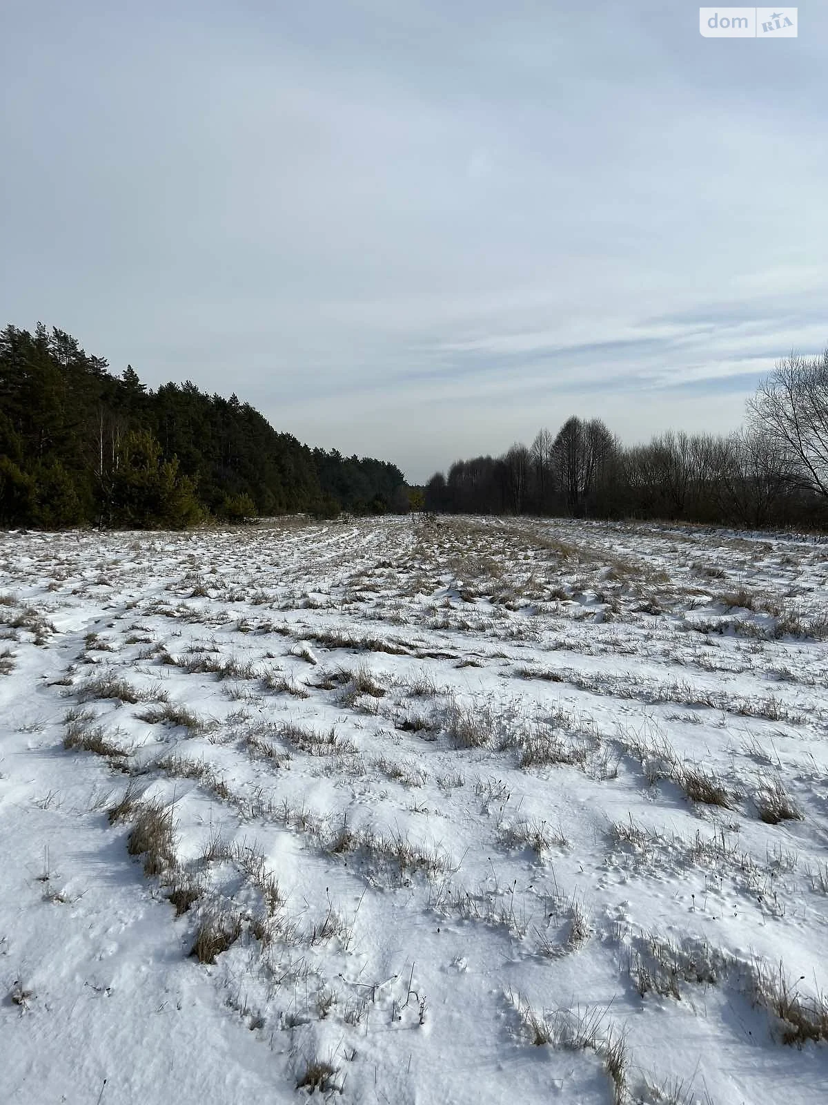 Продається земельна ділянка 800 соток у Вінницькій області - фото 2