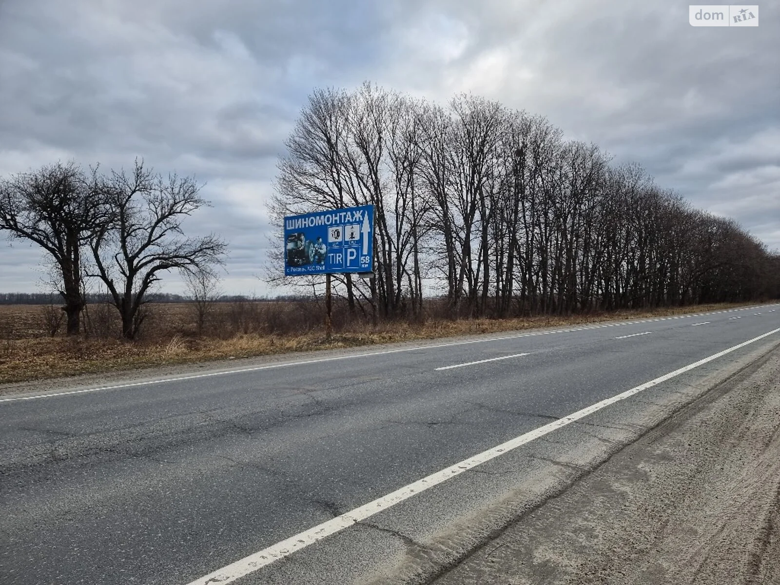 Продается земельный участок 65 соток в Львовской области - фото 2