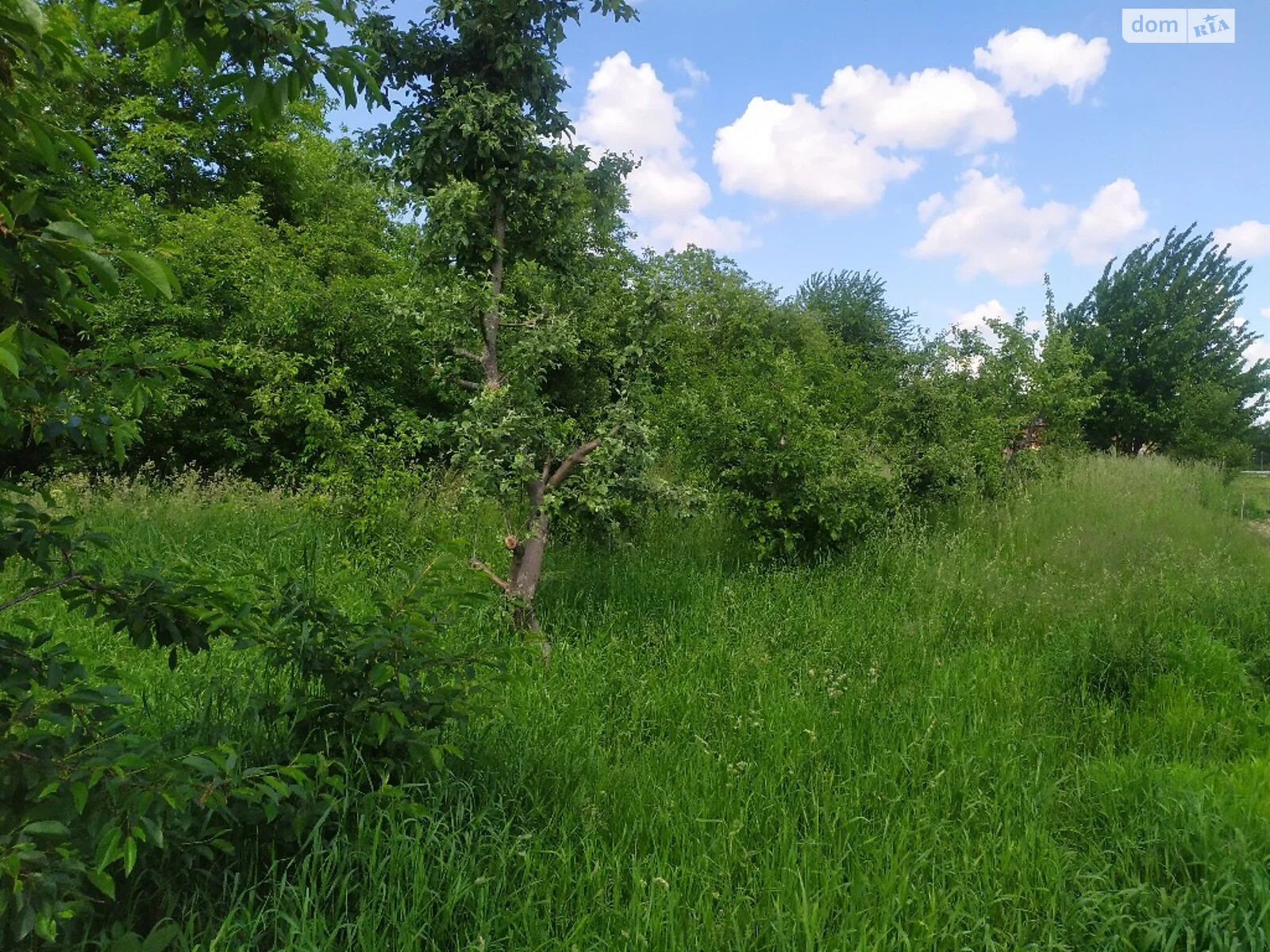Продается земельный участок 12 соток в Винницкой области, цена: 16000 $