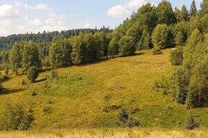 Продаж землі сільськогосподарського призначення, Львівська, Сколе, c. Нижня Рожанка