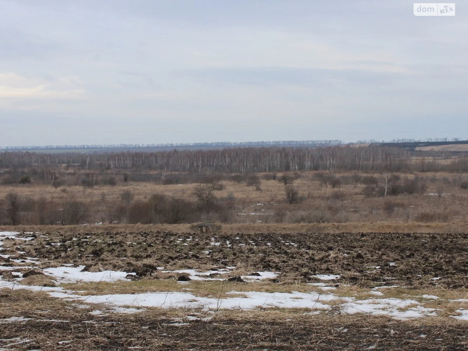 Продается земельный участок 128 соток в Львовской области - фото 3