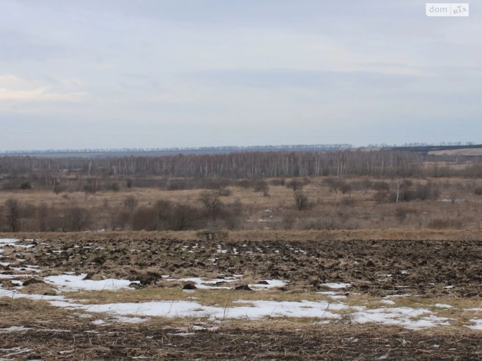 Продается земельный участок 128 соток в Львовской области - фото 2
