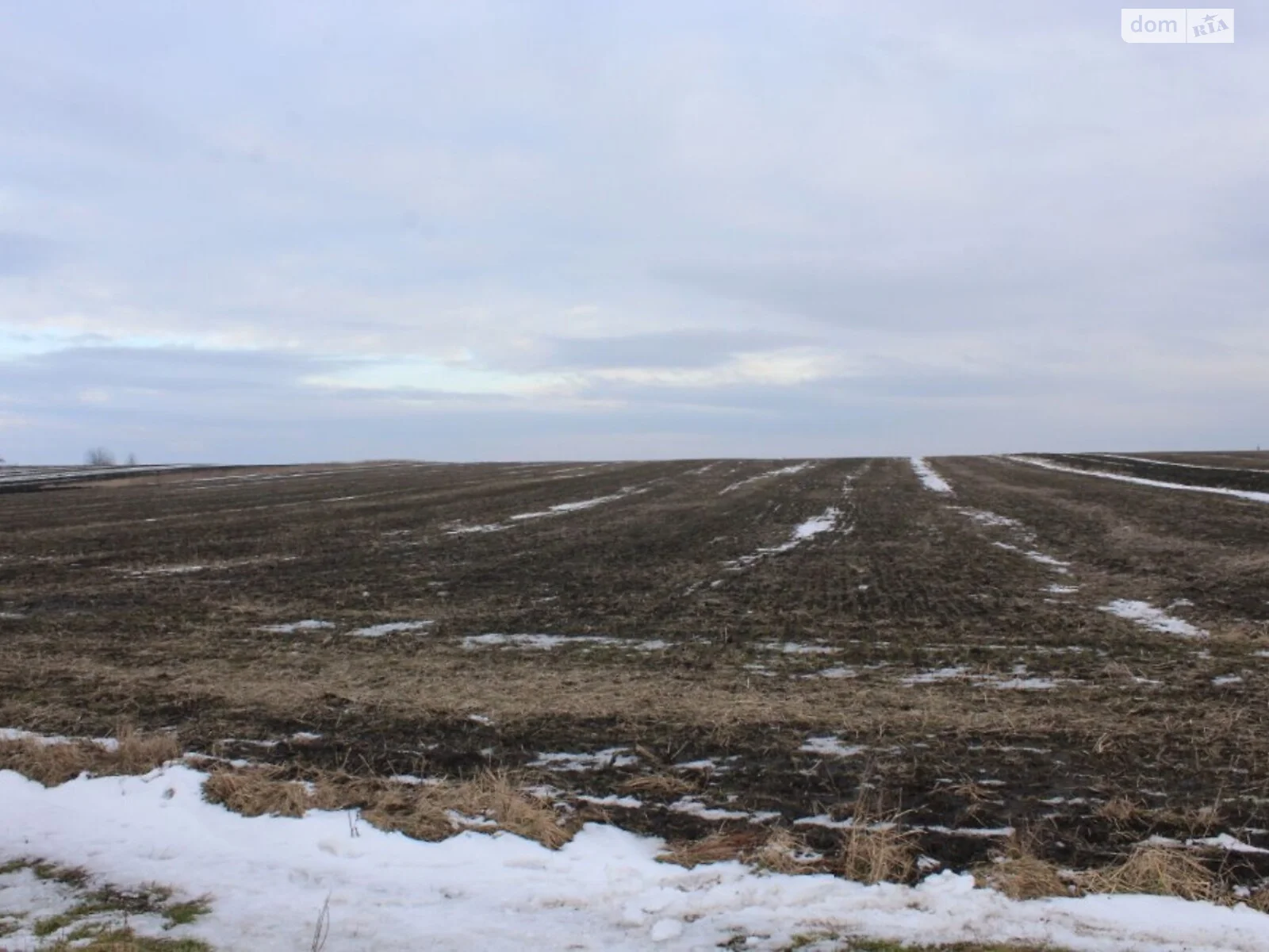 Продается земельный участок 128 соток в Львовской области - фото 3