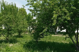Продается земельный участок 10 соток в Киевской области, цена: 150000 $