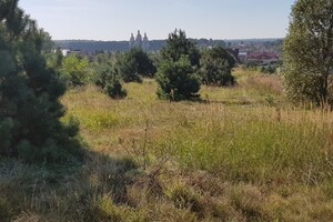 Продается земельный участок 30 соток в Львовской области, цена: 90000 $