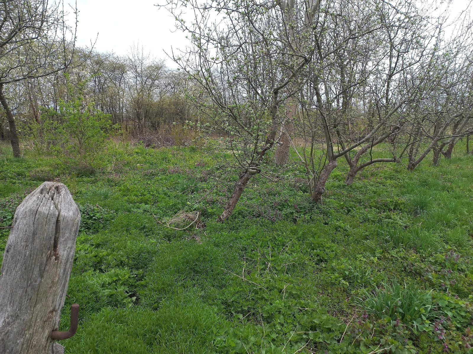 ул. Полевая, a Некрасово   - фото 3