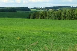 Продаж ділянки під житлову забудову, Вінницька, Пеньківка