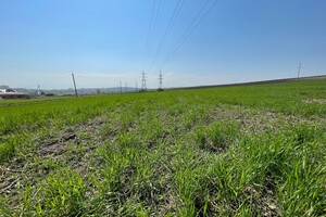 Продаж ділянки під житлову забудову, Тернопіль, р‑н. Петриків, Шептицького Андрія Митрополита вулиця