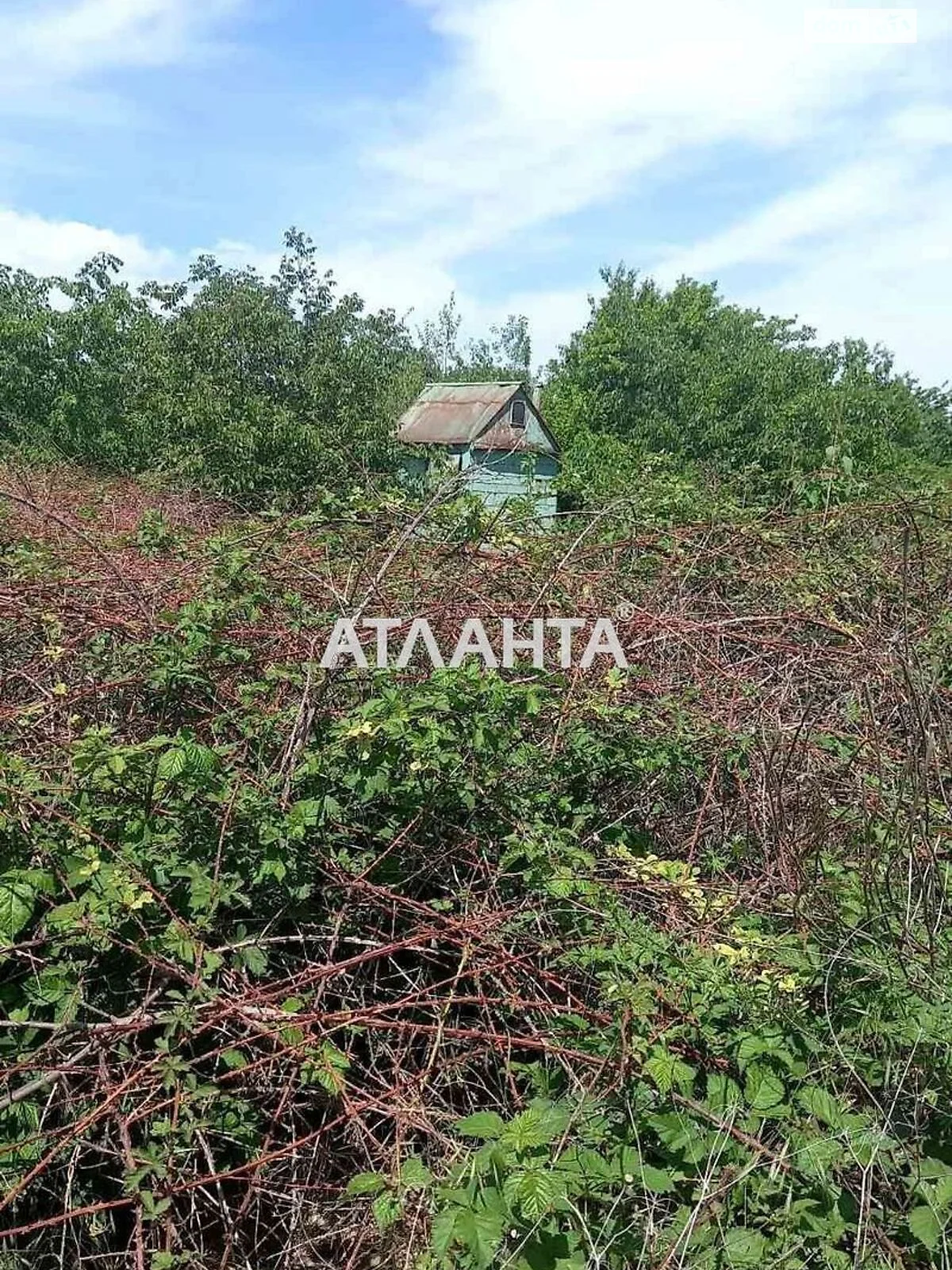 Продается земельный участок 6 соток в Одесской области - фото 2