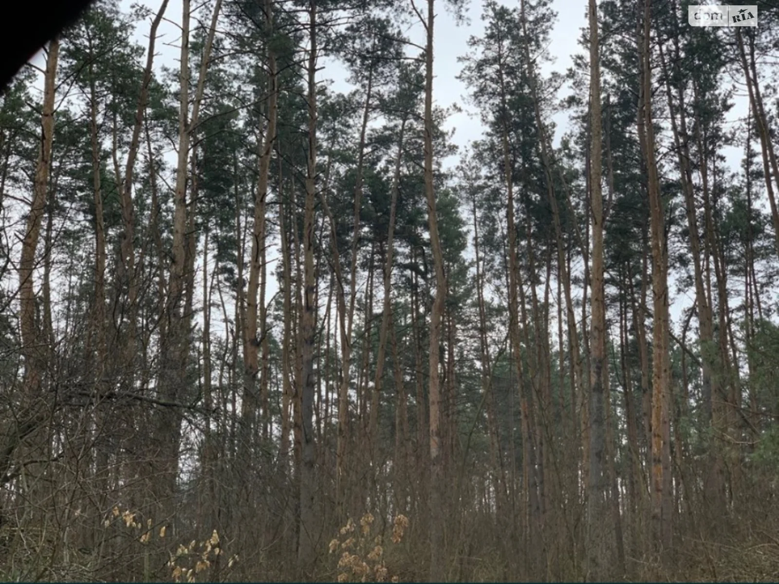 вул. Васильківська Березанщина (Васильків), цена: 25000 $ - фото 1