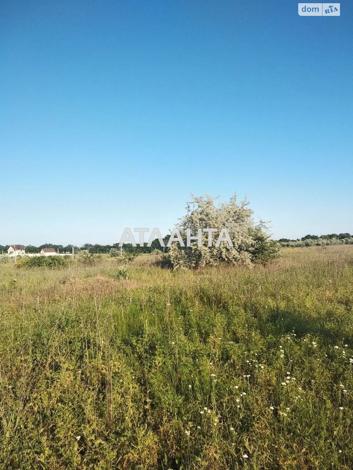 Продается земельный участок 20 соток в Одесской области - фото 3