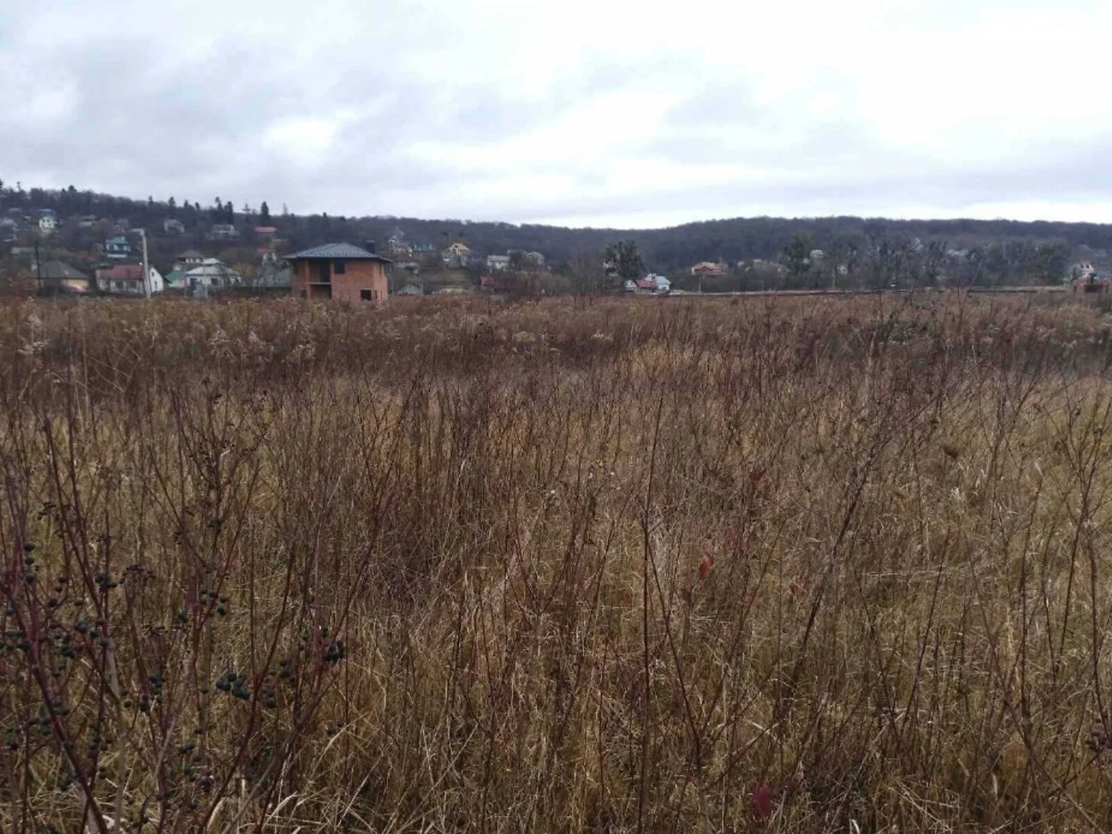 Продается земельный участок 5 соток в Черновицкой области - фото 2