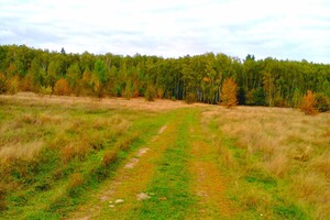 Продается земельный участок 3.92 соток в Черниговской области, цена: 313596 грн