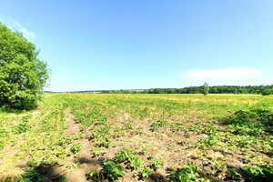 Продаж землі сільськогосподарського призначення, Вінниця, c. Березина