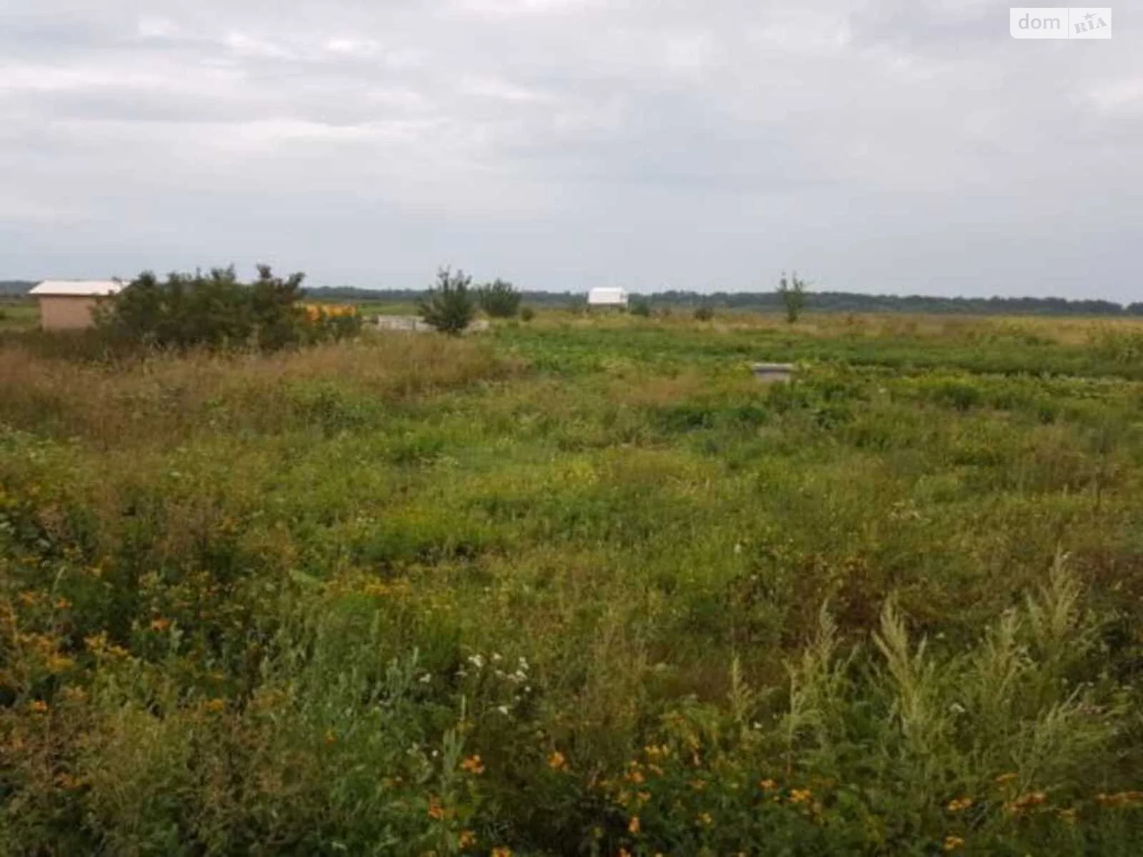 Продается земельный участок 14 соток в Полтавской области - фото 2