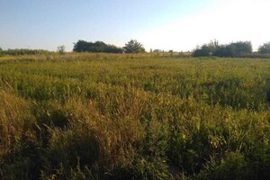 Продается земельный участок 15 соток в Полтавской области, цена: 12000 $