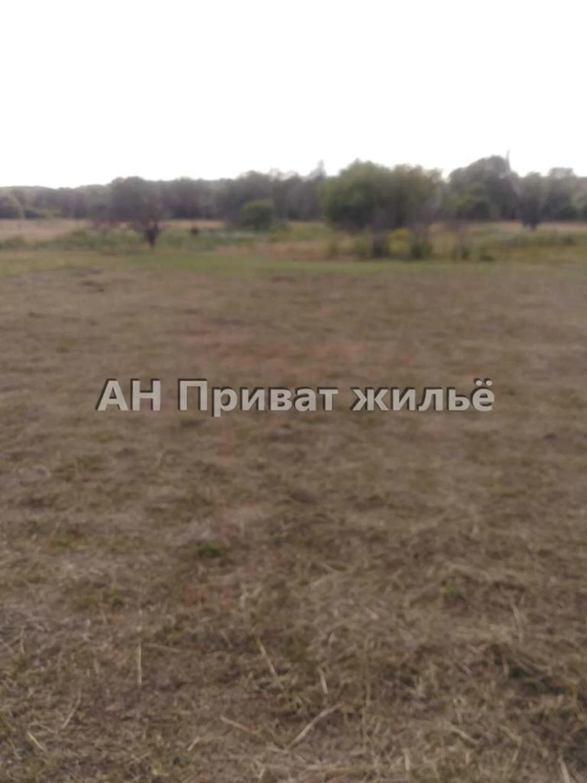 Продается земельный участок 6.8 соток в Полтавской области - фото 3