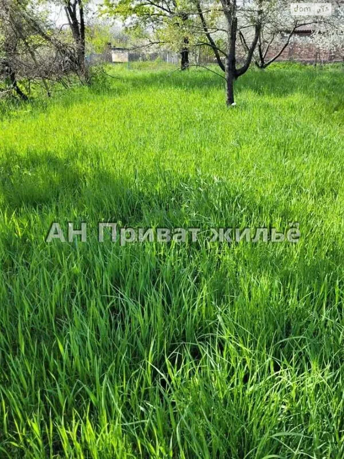 Продается земельный участок 30 соток в Полтавской области - фото 2