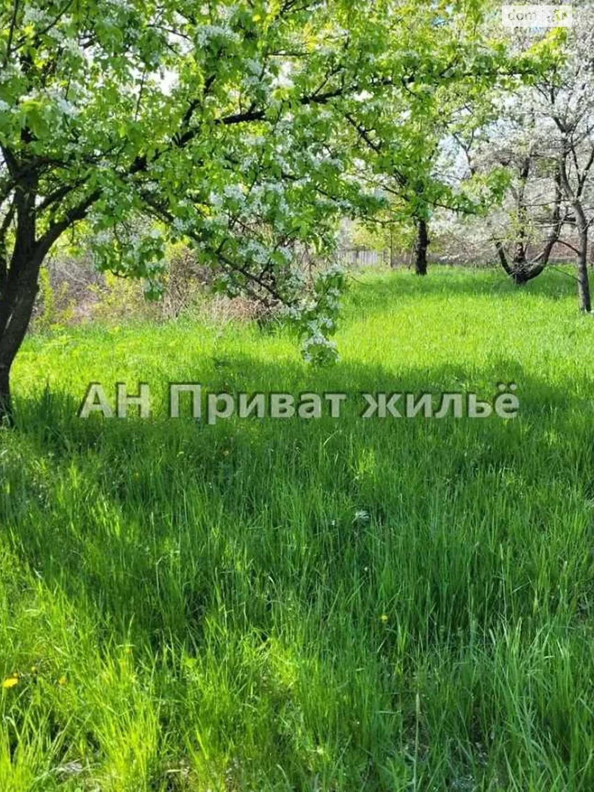 Продается земельный участок 30 соток в Полтавской области - фото 3