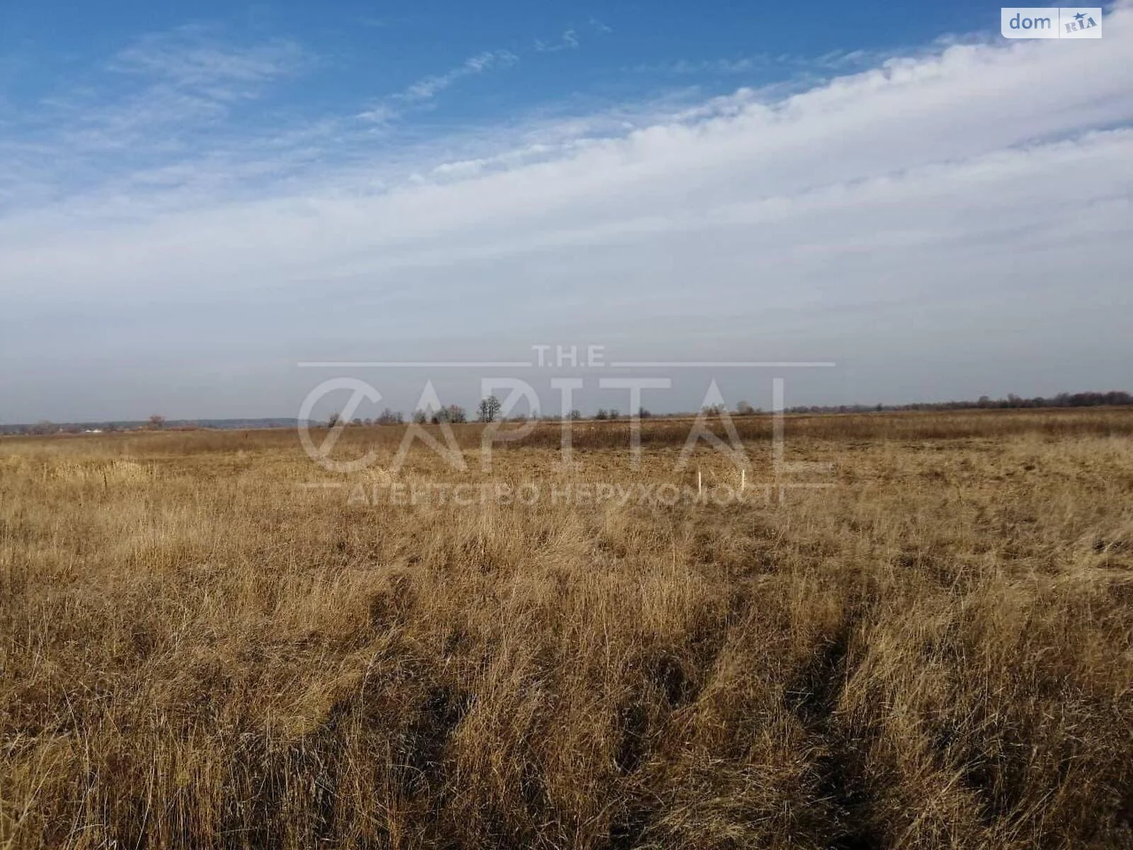Продається земельна ділянка 1500 соток у Київській області - фото 3