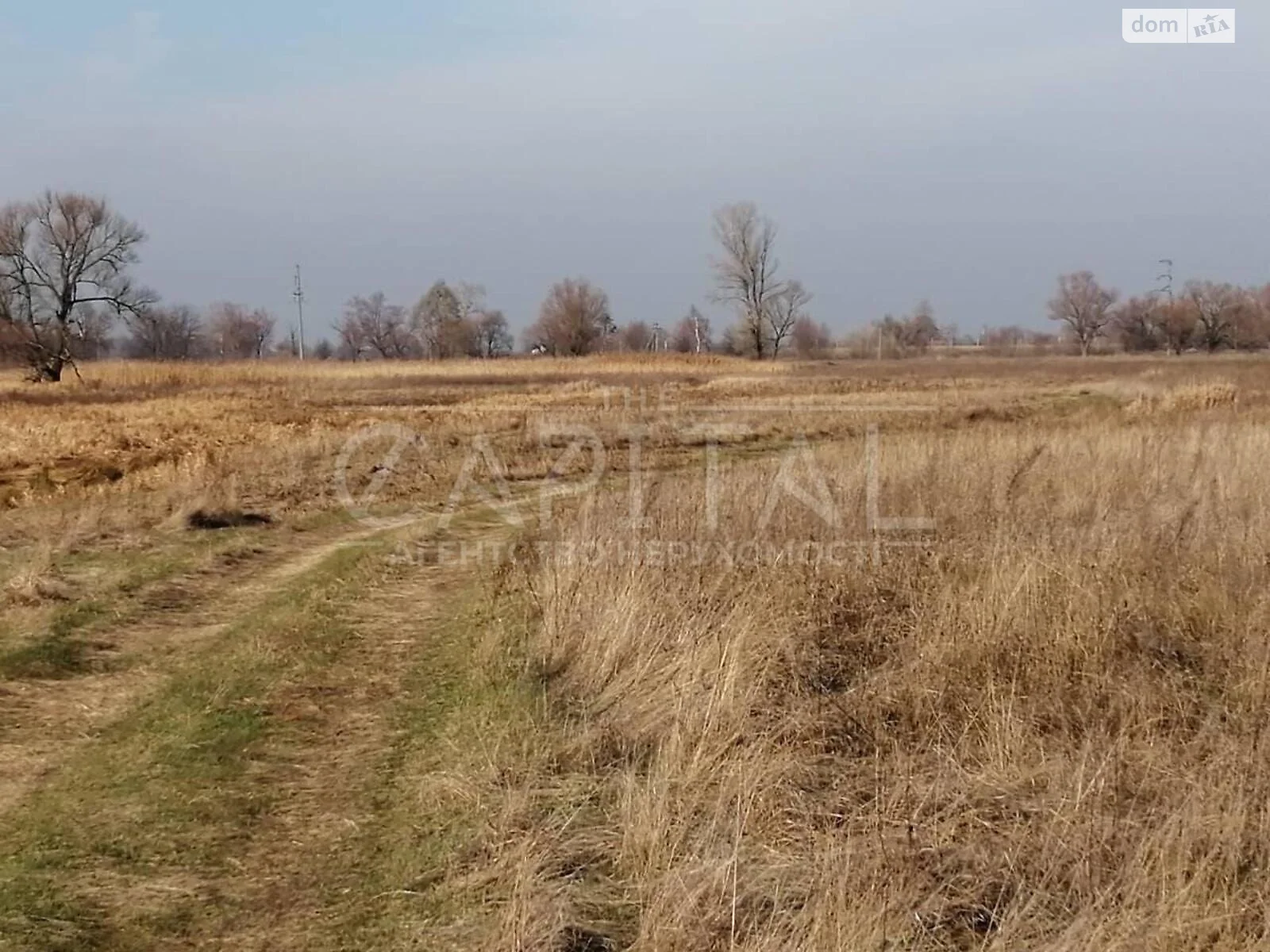 Продается земельный участок 300 соток в Киевской области, цена: 60000 $