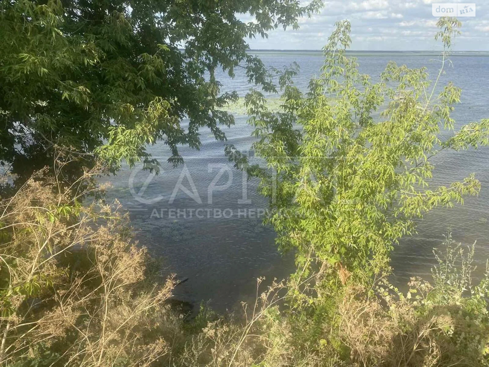 Продается земельный участок 45 соток в Киевской области, цена: 480000 $