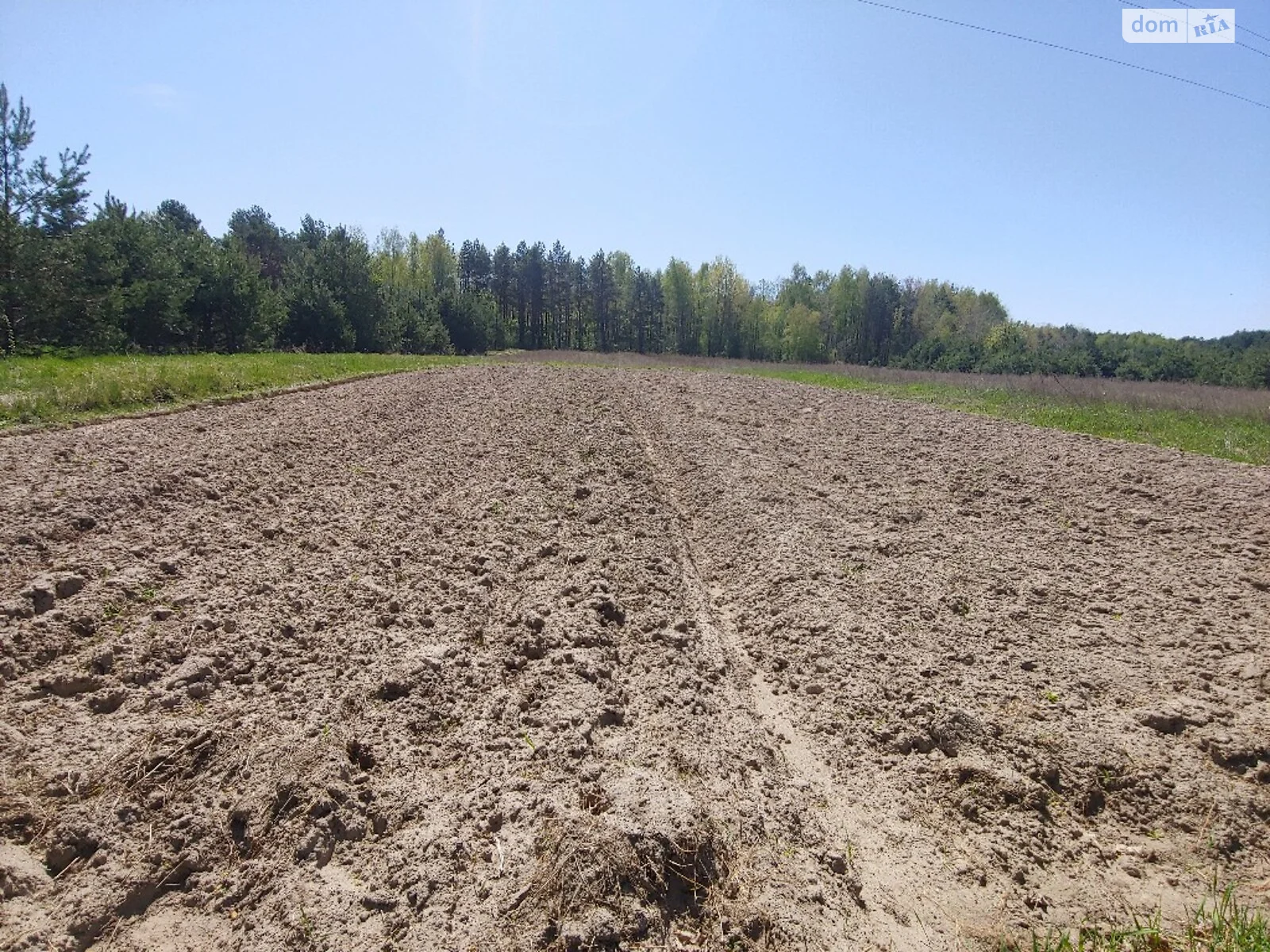 Продается земельный участок 64 соток в Ровенской области - фото 4