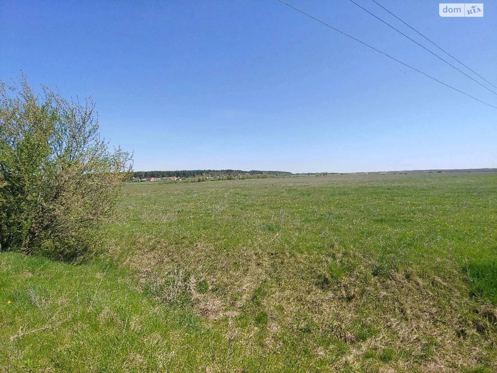 Продається земельна ділянка 73 соток у Рівненській області - фото 2