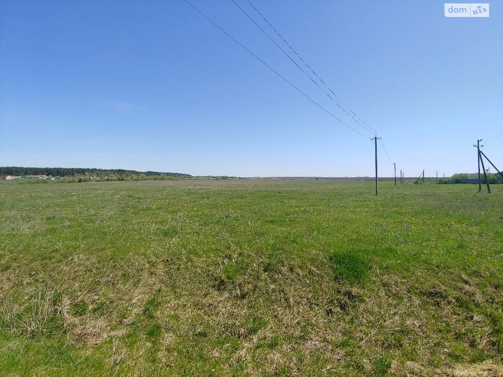 Продается земельный участок 73 соток в Ровенской области - фото 3
