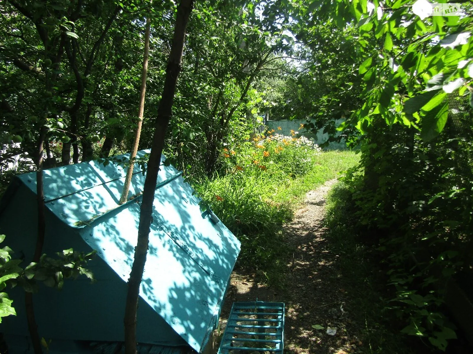 Продается земельный участок 22 соток в Винницкой области - фото 3