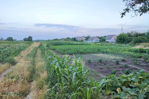 Продажа участка под жилую застройку, Черкассы, р‑н. Червоная Слобода, Рибальська