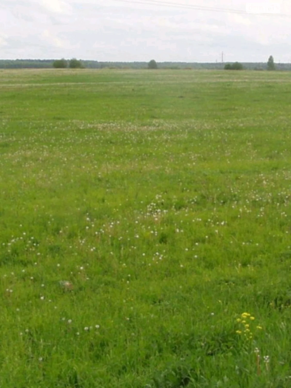 Продається земельна ділянка 0.3109 соток у Закарпатській області, цена: 15000 $ - фото 1