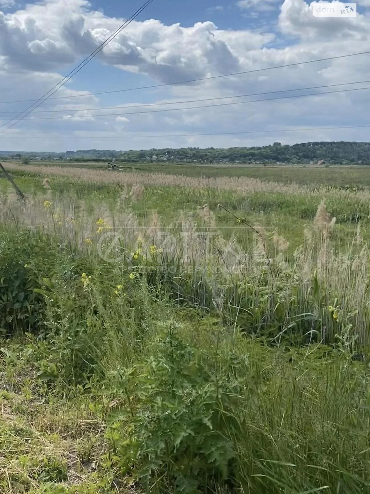 Продается земельный участок 700 соток в Киевской области - фото 2