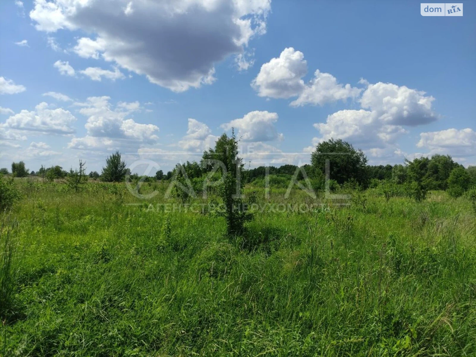 Продається земельна ділянка 165 соток у Київській області, цена: 110000 $