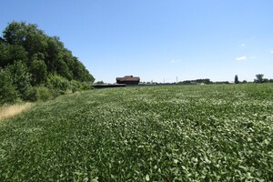 Продажа участка под жилую застройку, Винницкая, Гавришовка, Леси Украинки улица