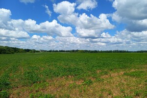 Продажа участка под жилую застройку, Винницкая, Гуменное, Королева улица