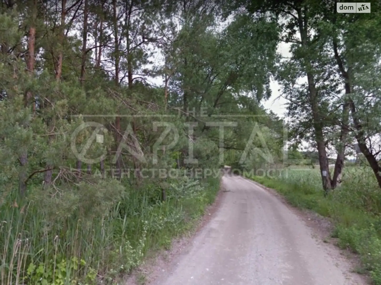 Продается земельный участок 81 соток в Киевской области - фото 2